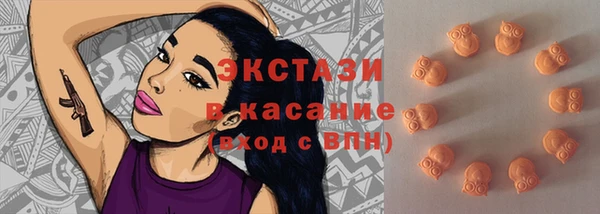 стаф Арсеньев