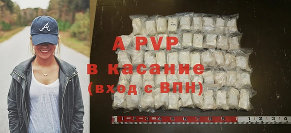 стаф Арсеньев