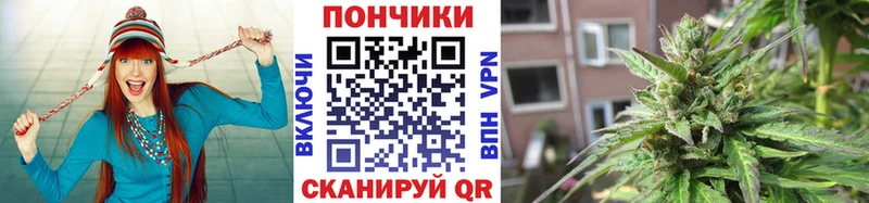 продажа наркотиков  Верея  Каннабис VHQ 